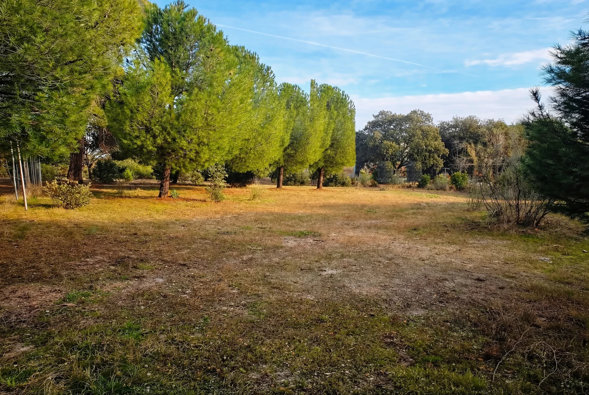 Casa Boadilla, project view 2